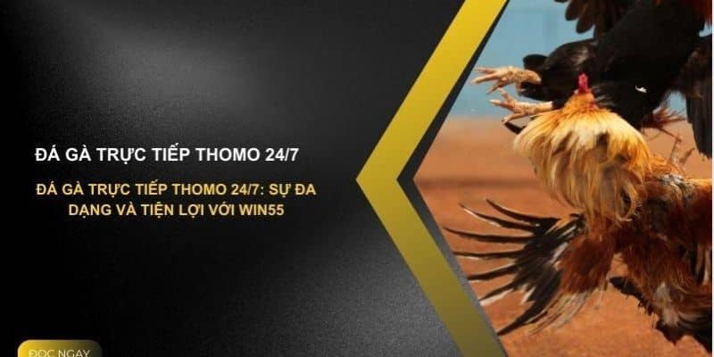 Đá gà trực tiếp Thomo 24/7 cực đỉnh tại J88