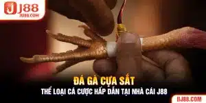 đá gà cựa sắt