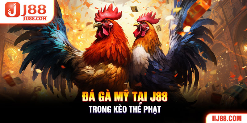 Đá Gà Mỹ