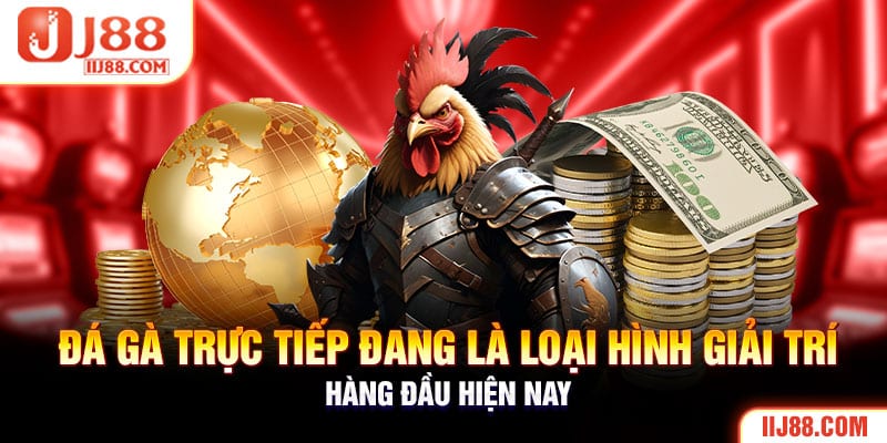 Đá gà trực tiếp đang là loại hình giải trí hàng đầu hiện nay