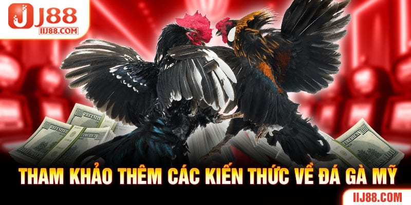 Tham khảo thêm các kiến thức về đá gà Mỹ